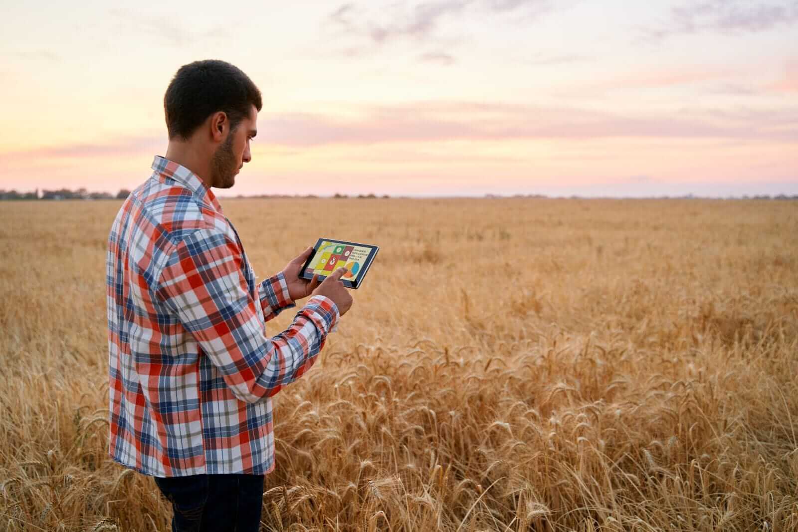 Wheat Hold Higher on Friday